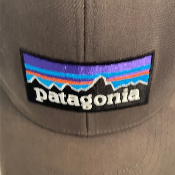 Patagonia Brown and Gray Mesh Cap - Picture 2 of 8